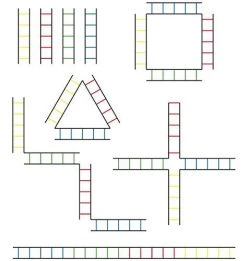 Ram Rugby Fitness Training Equipment Agility Ladder - Tubular Rungs - Quad